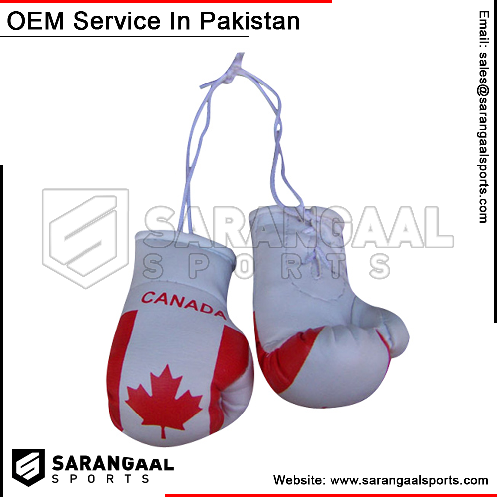 BOXING GLOVES HANGING